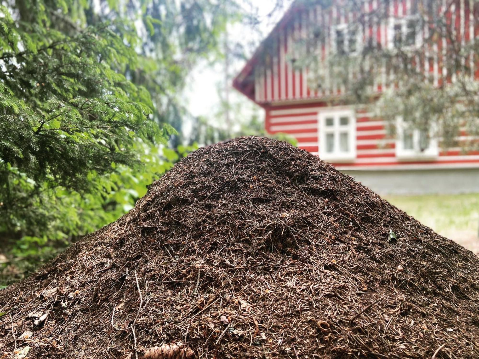 Chalupa Janovice Rudník Exterior foto